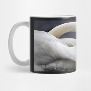 Trumpeter Swan Mug